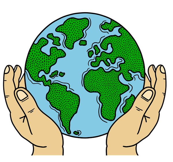 Crédits carbone ProlifQ : Devenez acteur de l'écologie durable